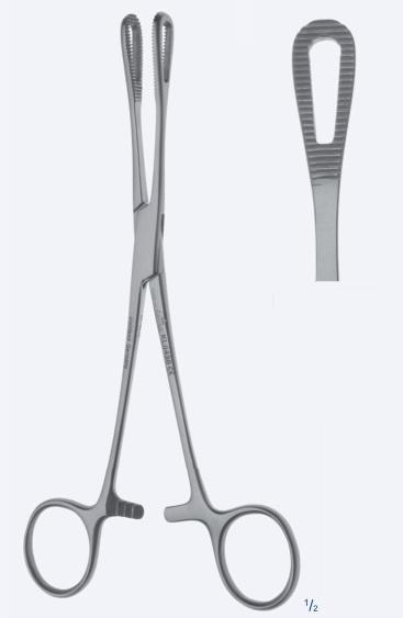 Зажими, хірургічні, для спонжів та операційної білизни, "Rampley", прямі, вікончасті, загальна довжина 250 мм. Бренд - Asanus Medizintechnik Gmb, Німеччина